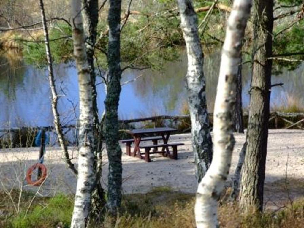 Tullochwood Lodges Forres Rum bild